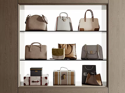 Stylish Leather Handbags and Vintage Suitcases on Three Tiered Display Shelf 3d model