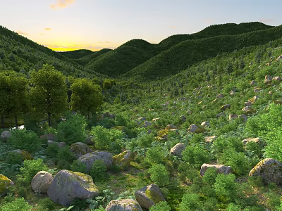 Scenic Mountain Valley Landscape With Green Mountains Dense Trees Scattered Rocks And Sunset Sky 3d model