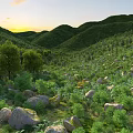 mountain highway mountain scenery forest trees plants trees shrubs rubble 3d model