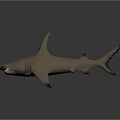 Realistic Brown Shark 3D Model With Fins Tail And Smooth Gray Background Surface 3d model