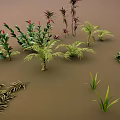 Diverse Green And Colorful Foliage Plants Arranged On Brown Background Surface