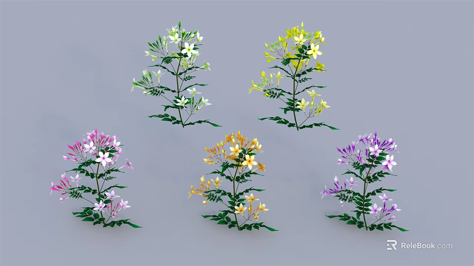 Colorful Flowering Plants With Green Leaves And White Yellow Pink Purple Orange Blooms 3d model 