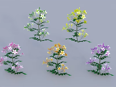 Colorful Flowering Plants With Green Leaves And White Yellow Pink Purple Orange Blooms 3d model