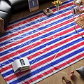 Square Rug with Red White Blue Stripes in Modern Living Room Home Decor