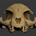 Animal Skull With Green Glowing Geometric Patterns Light Brown Sharp Teeth On Dark Background 3d model