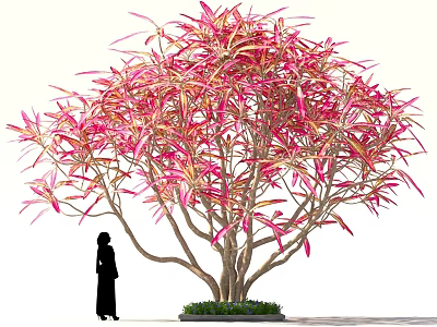 Tall Bush Featuring Pink And Red Foliage Beside Person Silhouette 3d model