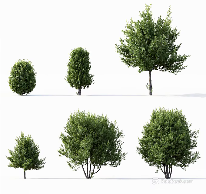 Arbor Trees 3D Rendering Collection With Various Shapes Sizes And Green Foliage 3d model