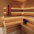 Modern Shower Sauna Interior Design With Wooden Walls And Benches
