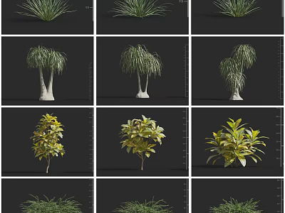 Different Types of Shrubs with Various Leaf Shapes and Colors for Garden Landscaping 3d model