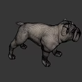 White English Bulldog Standing In Realistic 3D Render With Dark Background