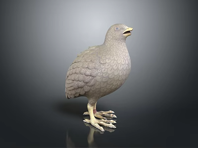 Detailed Gray Standing Bird Statue with Textured Feathers on Dark Reflective Base 3d model