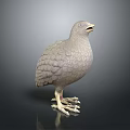 Detailed Gray Standing Bird Statue with Textured Feathers on Dark Reflective Base