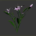 Pink Flowers with Green Stems Leaves and Buds on Gray Background