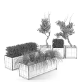 Rustic Metal Garden Planters With Olive Trees Bushes And Ornamental Grasses