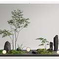 Indoor Landscape Design Featuring Small Trees Ferns Rocks Mossy Grass And Round Lights