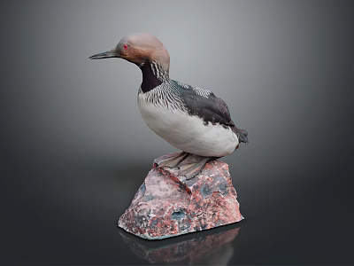Reddish Brown Headed Bird With Black And White Striped Body Perched On Red Gray Rock 3d model