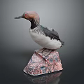 Reddish Brown Headed Bird With Black And White Striped Body Perched On Red Gray Rock