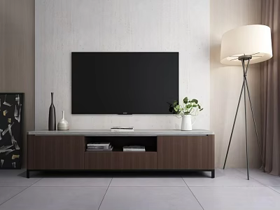 Modern Minimalist TV Stand With Flat Screen TV Green Plant And Floor Lamp 3d model