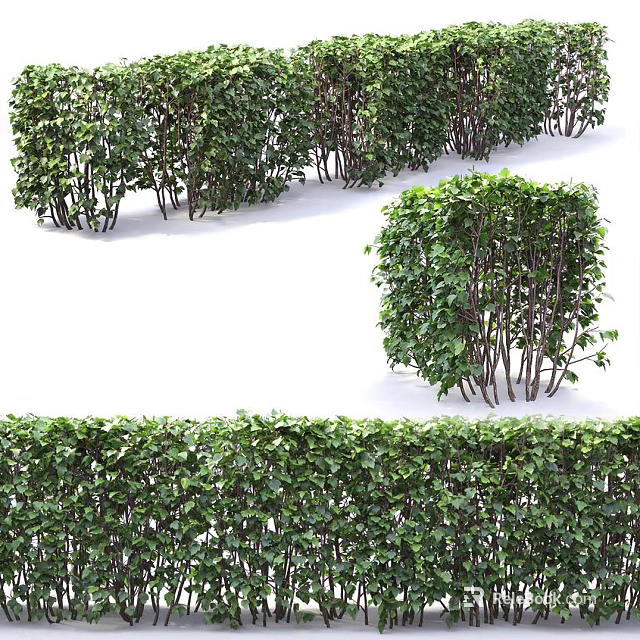 Trimmed Green Shrubs in Rows and Shaped Forms for Garden Landscaping 3d model 