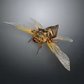 Cicada With Transparent Wings Yellow Veins And Brown Body Detailed Macro View