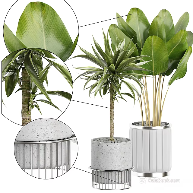 Indoor Decorative Plant Arrangement With Green Plants In Concrete And White Striped Planters 3d model 