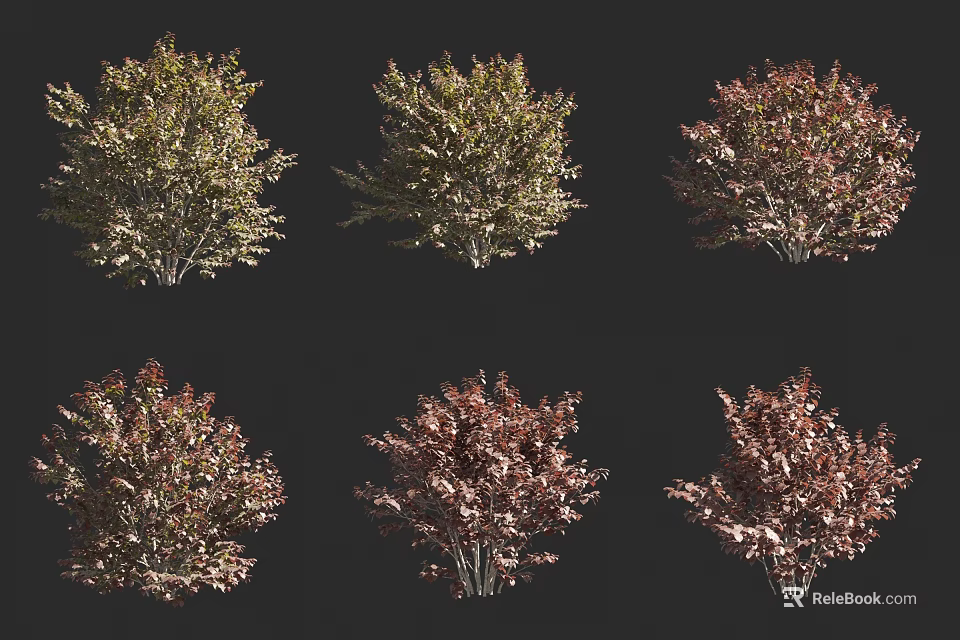Colorful Ornamental Shrubs for Garden Landscaping with Diverse Foliage and Natural Shapes 3d model 