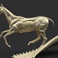 Silver Horse Anatomical Model Showing Muscle And Bone Structure In Running Pose With Feather Base