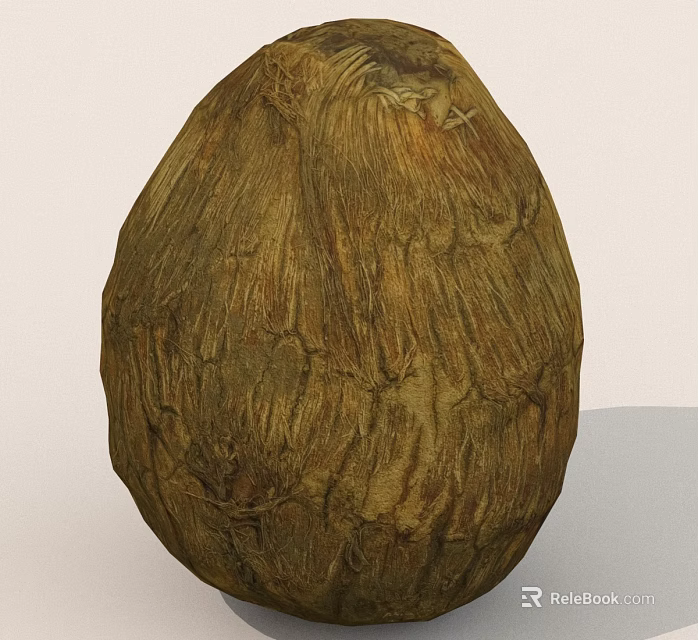 Whole Natural Brown Coconut With Textured Outer Shell And Organic Look 3d model 