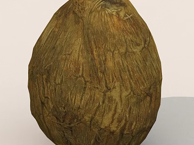 Whole Natural Brown Coconut With Textured Outer Shell And Organic Look 3d model