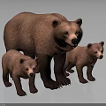 Three Brown Bears Adult And Two Cubs Standing Together On Gray Background