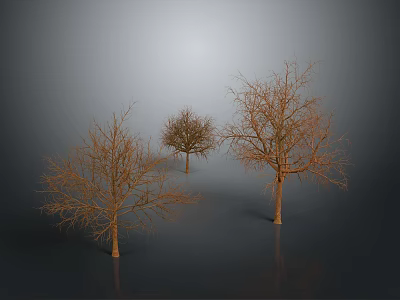 Leafless Trees with Bare Trunks and Branches against Gray Background and Ground Reflections 3d model