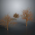 Leafless Trees with Bare Trunks and Branches against Gray Background and Ground Reflections