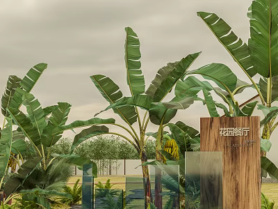 Banana Trees As Main Arborescent Elements In Outdoor Landscape With Greenery And Glass Structures 3d model