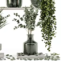 Decorative Vases With Green Plants For Stylish Home Interior Decoration