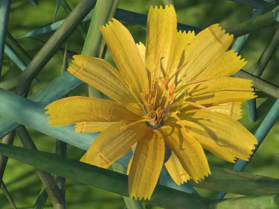 Bright Yellow Flower with Green Leaves and Stems in Natural Garden 3d model