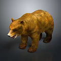 Realistic Brown Bear Game Movie Character With Detailed Fur And Standing Stance