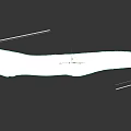 Slender Brown Eel Aquatic Animal With Open Mouth And Long Body