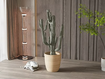 Indoor Cactus Bonsai Plant in Ceramic Pot with Wooden Wall and Floor Lamp 3d model