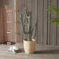 Indoor Cactus Bonsai Plant in Ceramic Pot with Wooden Wall and Floor Lamp
