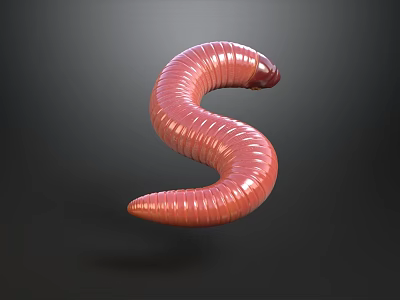 Red Reptile Snake With Smooth Scales And S Shaped Body Isolated On Dark Background 3d model