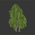 Six Green Trees of Various Sizes Against Gray Background With Reflections on Ground