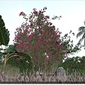 Garden Landscape With Purple Flowering Tree Banana Leaves Palm Tree Green Grass And Blue Sky