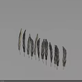 Arranged Feathers in Gray Black Beige Tones on Light Blue Background with Shadows