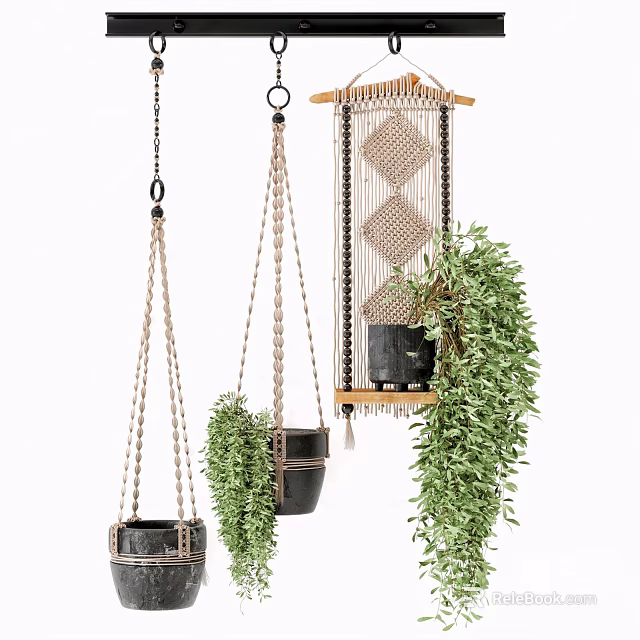 Macramé Hanging Planters With Black Pots And Lush Green Foliage For Indoor Home Decor 3d model 