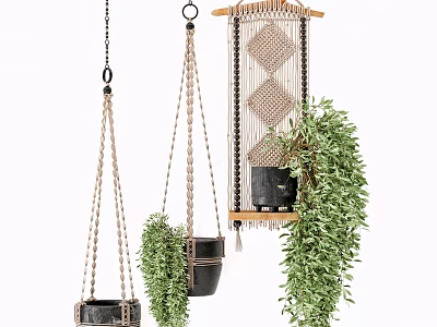 Macramé Hanging Planters With Black Pots And Lush Green Foliage For Indoor Home Decor 3d model