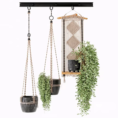 Macramé Hanging Planters With Black Pots And Lush Green Foliage For Indoor Home Decor 3d model