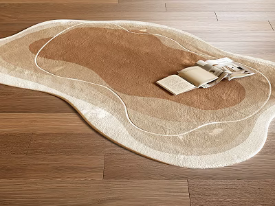 Stylish Irregular Shaped Rug On Wooden Floor With Magazines 3d model