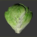 Fresh Green Whole Lettuce Head with Crisp Leaves Healthy Organic Vegetable