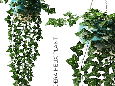 Ornamental Decoration Set With Hanging Ivy Plant Green Leaves For Home Decor 3d model