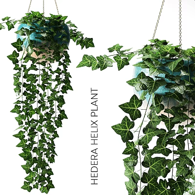 Ornamental Decoration Set With Hanging Ivy Plant Green Leaves For Home Decor 3d model